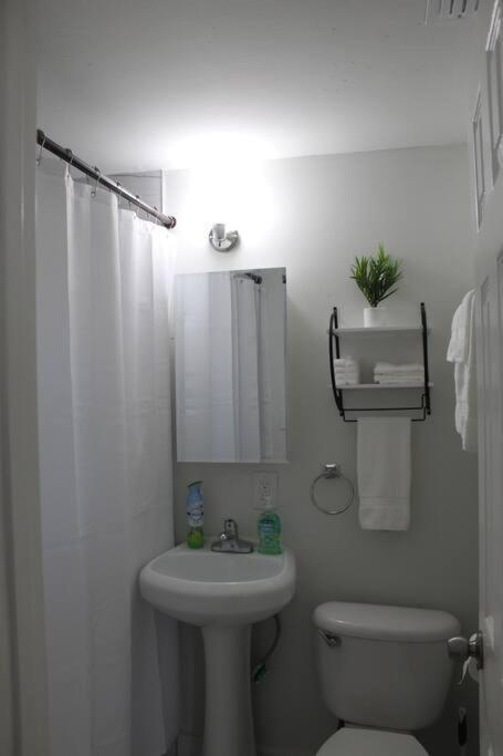 ☆The Oasis In Murray Hill☆ -Sleeps 8- Wifi- Cozy Jacksonville Exterior photo